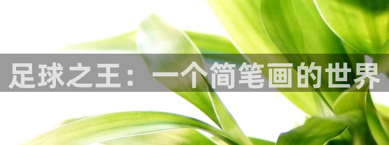 MK体育官方正版app娱乐代理怎么样