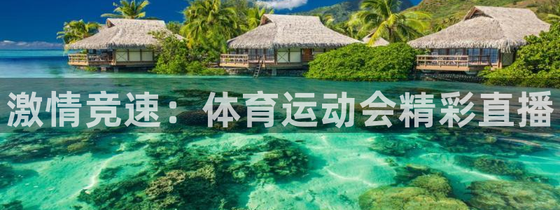MK体育官方平台体育：激情竞速：体育运动会精彩直播