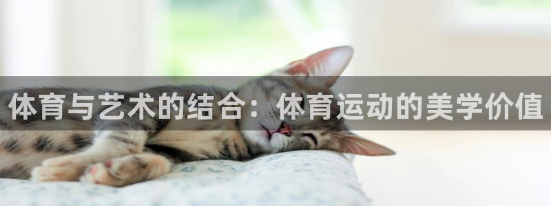 MK体育官方正版app官方：体育与艺术的结合：体育运动的美学