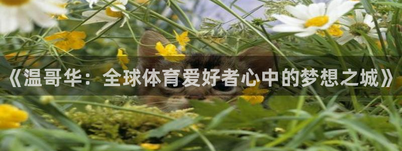 MK体育官方正版app娱乐首页官网下载：《温哥华：全球体育爱