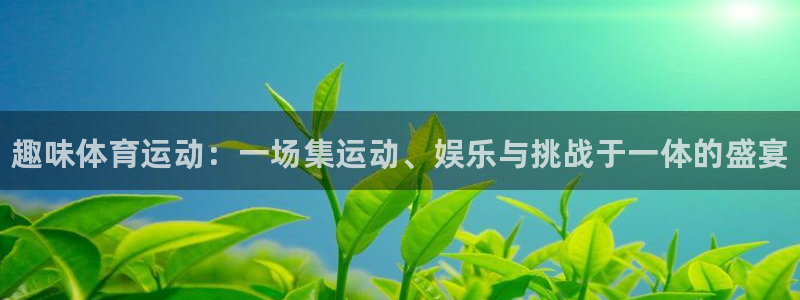 MK体育官方正版app官网：趣味体育运动：一场集运动