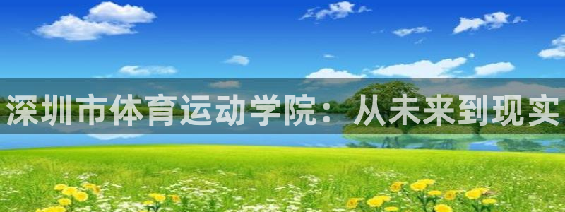 MK体育官网下载平台注册要钱吗安全吗：深圳市体育运动