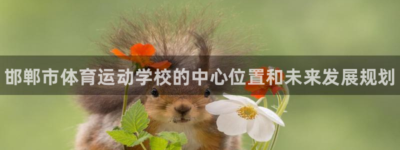 MK体育官方正版app娱乐：邯郸市体育运动学校的中心