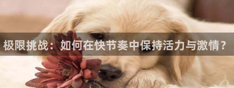 MK体育官网下载官方客服电话：极限挑战：如何在快节奏