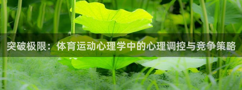 MK体育官网下载平台是正规平台吗安全吗：突破极限：体育运动心