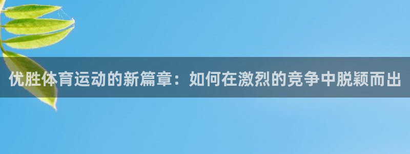 MK体育官网下载招商电话地址：优胜体育运动的新篇章：