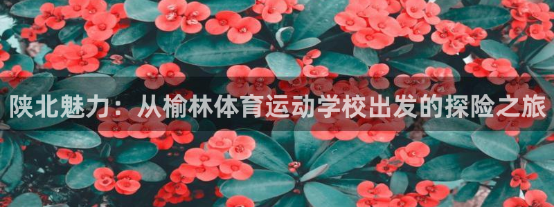 MK体育官网下载平台注册流程图：陕北魅力：从榆林体育