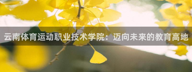 MK体育官网下载招商电话是多少号码