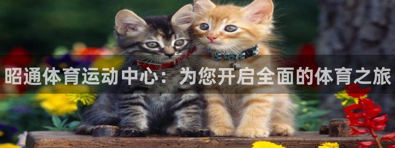 MK体育官网下载软件