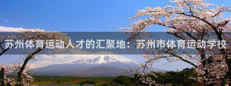 MK体育官方正版app娱乐网站：苏州体育运动人才的汇聚地：苏