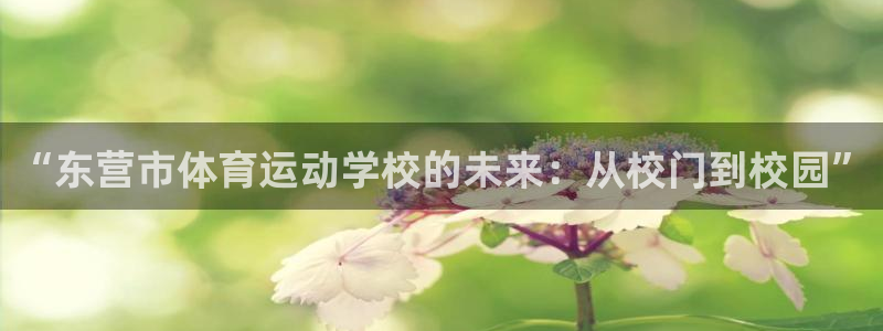 MK体育官网下载平台注册要钱吗安全吗：“东营市体育运动学校的