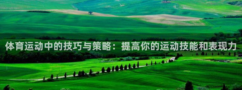 MK体育官方正版app官方