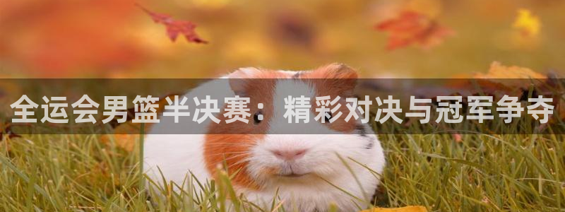 上海五星体育直播观看：全运会男篮半决赛：精彩对决与冠军争夺